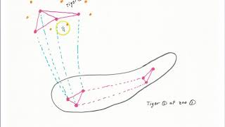 Semantic memory part 1
