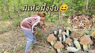 ผีเห็ดจับช่วงนิอยากเข้าแต่ป่าย่าฟ้าวเบึ่อกันเดีพี่น้อง🥹🥹🍄🍄