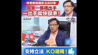 何君堯指國安法係好事： 國家一係唔出手  一出手就快狠準！