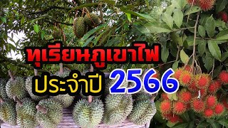 ทุเรียนภูเขาไฟ ประจำปี 2566 ขับรถเดินทางไปสวนทุเรียน อ.กันทรลักษ์ จ.ศรีสะเกษ