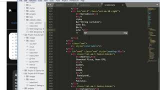 PHP-Lesson 4 PHP Variables
