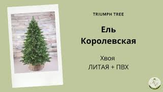 Обзор искусственной ели Королевская торговой марки Triumph Tree