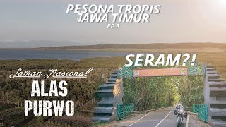 Apa iya Seseram Itu Alas Purwo?! | Pesona Tropis Jawa Timur | Touring Tgr - Jatim | Eps 3