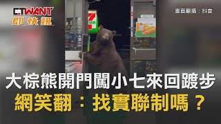 CTWANT 周刊王 即時新聞 / 大棕熊開門闖小七來回踱步　網笑翻 ：找實聯制嗎？