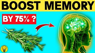 Boost Memory With Rosemary (Health Benefits of Rosemary)
