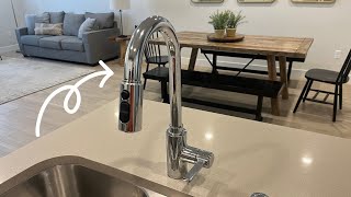 Review of Moen Genta LX Chrome Single-Handle Modern Kitchen Faucet