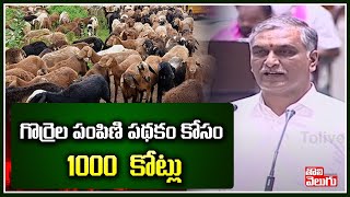 గొర్రెల పంపిణి పథకం కోసం 1000  కోట్లు |  Telangana Sheep Distribution scheme  | Toliveligu TV