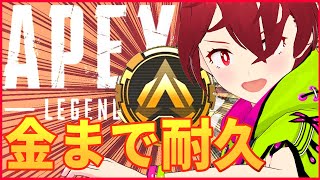 #APEX ランク銀２→金まで耐久配信！【VTuber/土路つばさ】