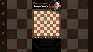 Оппозиция. Часть 1. Основы. #chess #шахматы #эндшпиль