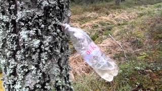 Spring Hike. Garkalne- Sigulda, Latvia.