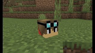 Minecraft，如何在基岩版製作自訂頭顱