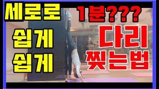 세로로 쉽게쉽게 1분만에 다리찢는법??? 하누만아사나/좌골신경통 풀어주는 다리찢기/ 요통을 풀어주는 다리찢기/