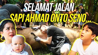 BISMILLAH!!! RAFFI POTONG SENDIRI ONTO SENO, SEMOGA BERKAH UNTUK SEMUANYA...