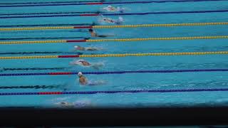 鈴木聡美　女子50m平泳ぎ　予選　JAPAN OPEN50m