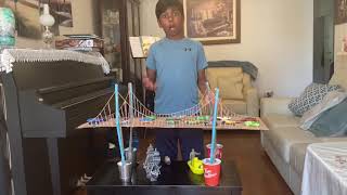 Ivan school project - suspension bridge