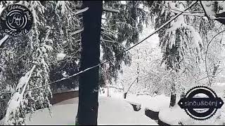 La beauté de la kabylie la neige a ain el hammam 2019