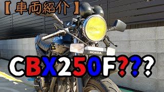 【車両紹介】セパハンJADE250CBX仕様