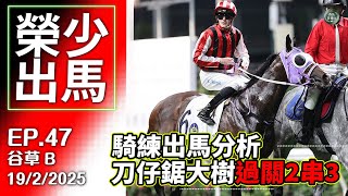 【賽馬貼士】榮少出馬 │刀仔鋸大樹 │ 精選2場過關2X3 │騎練推介 │《2025年2月19日》24-25賽季 EP47 #榮少 #跑馬地 #賽馬任我行