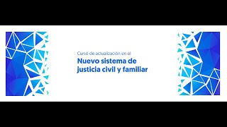 Curso de Actualización sobre el CNPCF - Sesión 3