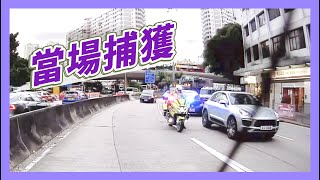 【奇景】任性衝燈？雙雙被捕獲