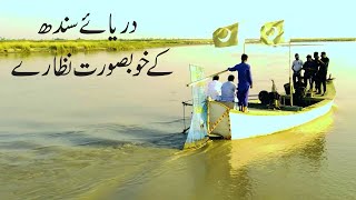 Beautiful Drone Video Indus River Layyah | Darya Sindh Drone Video | River Drone Shots