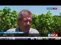 SA's electricity crisis | Power cuts sour win production
