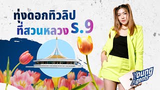 ทิวลิปบานที่สวนหลวง ร.9 | YoungAgent