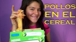 Pollos muertos en el cereal | LOS POLINESIOS BROMAS PLATICA POLINESIA