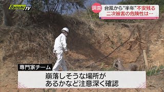 【台風１５号】まもなく半年　専門家の調査続く　二次被害の危険を探る活動　静岡市清水区