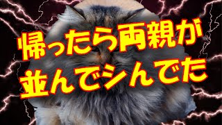 【修羅場 閲覧注意】幼稚園から帰ってきたら両親が亡くなっていた…