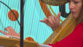 Harpist for All Occasions 'What a Wonderful World\