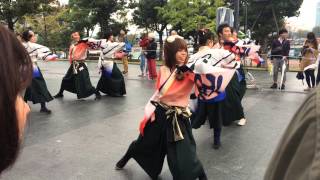 ドリーム夜さ来い祭り ダイバーシティ 東京学生生っ粋 「ひとえ」