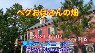 ペグおばさんの畑　2021.11.07　TDS　ディズニーシー　Tokyo DisneySEA　Aunt Peg　ケープコッド