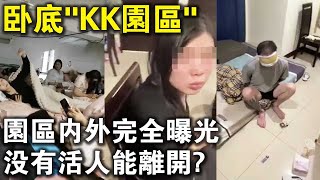 園區內外完全曝光，沒有活人可以離開？記者臥底妙瓦底“KK園區”，裡面的人太慘了！