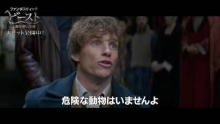 ファンタスティック・ビーストと魔法使いの旅 - 映画特別映像