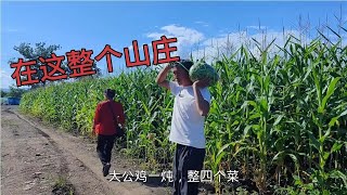 真正的东北田园生活，夏天种地冬天住楼，山里没网你待的住吗？