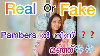 കുട്ടിമാമ ഞാൻ ശരിക്കും  ഞെട്ടി❄️🫡🫡|testing Real  or Fake|മണാലിയിലെ മഞ്ഞ് നാണിച്ച് പോകും😲😲