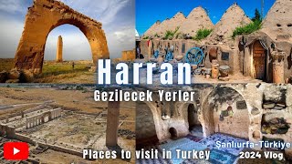 Harran Gezilecek Yerler 2024 - Şanlıurfa Gezisi #şanlıurfa #gezilecekyerler #harran #gezirehberi