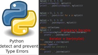 Python 3 detect and prevent TypeError-s