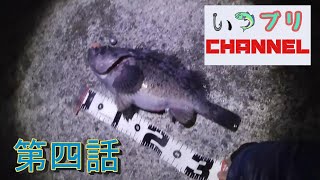 第四話　函館沖堤防でRock Fishing！！