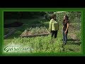 Regenerative Agriculture at No.9 Farms | Volunteer Gardener