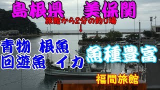 島根県美保関で魚釣り