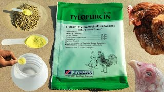 Tylofurcin for Poultry Birds and Livestock | Tylosin, Erythromycin and Furaltadone for Chickens