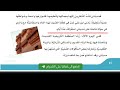 مدينتي لغتي الصف الرابع الابتدائي