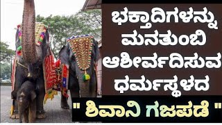 ಇದೇ ಶ್ರೀಕ್ಷೇತ್ರ ಧರ್ಮಸ್ಥಳದ ವಿಶೇಷ|🙏ಗಜರಾಜನ ಆಶೀರ್ವಾದ ಹೀಗಿದೆ..ಒಮ್ಮೆ ನೋಡಿ.. 🐘🐘🐘