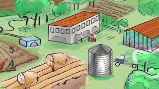 Improved rural urban linkages: Building sustainable food systems