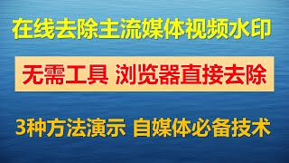 [204]在线去除主流媒体视频水印│爱奇艺 腾讯视频 优酷视频 土豆网 PPTV等主流媒体去除视频水印的方法│操作简单快速 自媒体创作必备