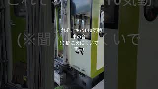 これぞ、キハ110系気動車の凄い音だ!