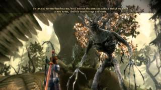 Dragon Age: Origins part 119 (Story) (No Commentary)