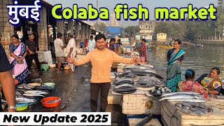 COLABA FISH MARKET IN MUMBAI 2025|| Sassoon Dock Fish Colaba In Mumbai, Wholesale and Retail market